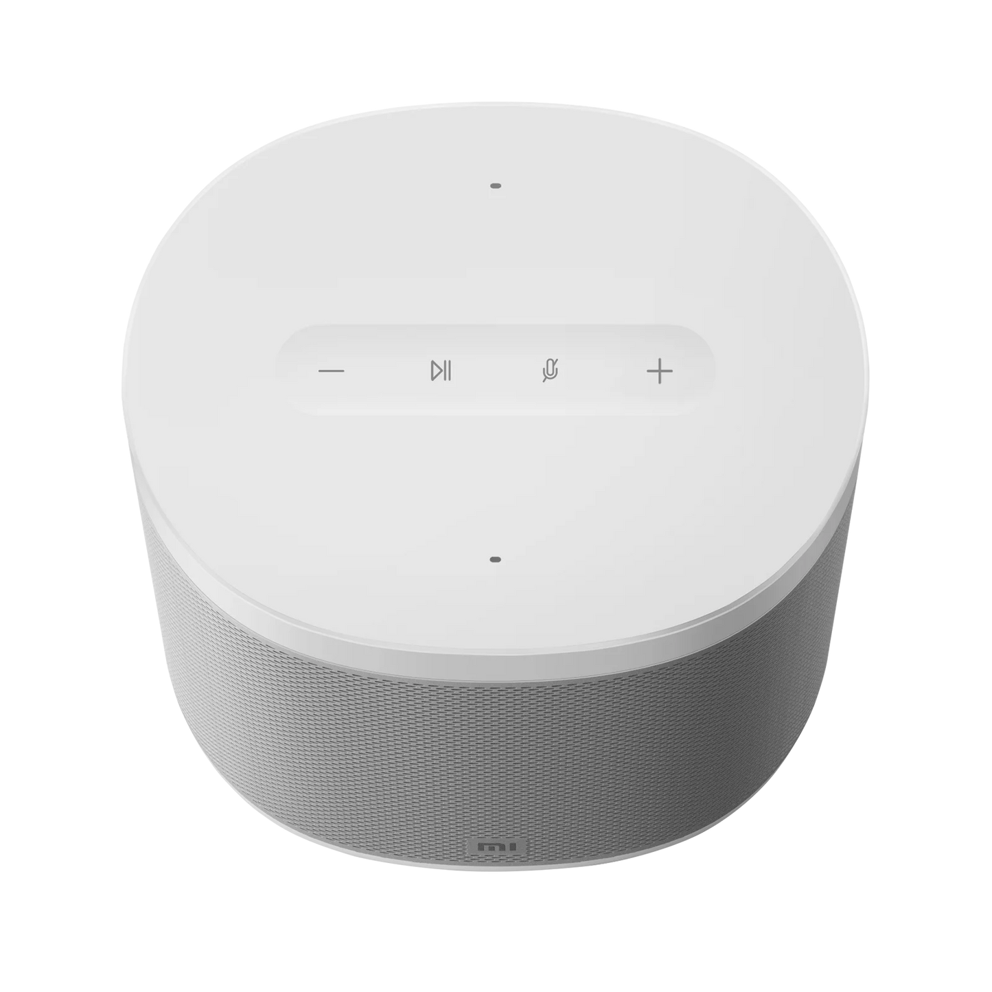 Mi Smart Speaker